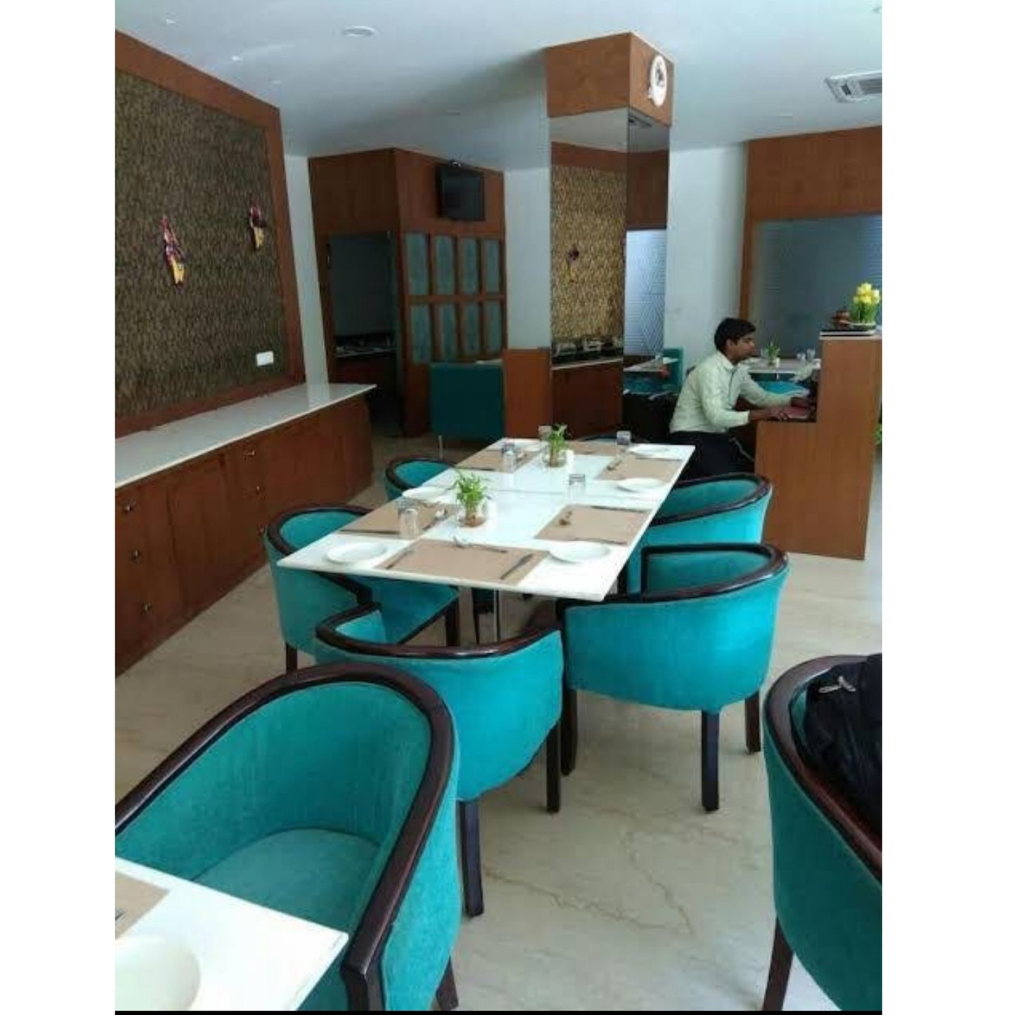 Avins Beacon Hotel Udaipur