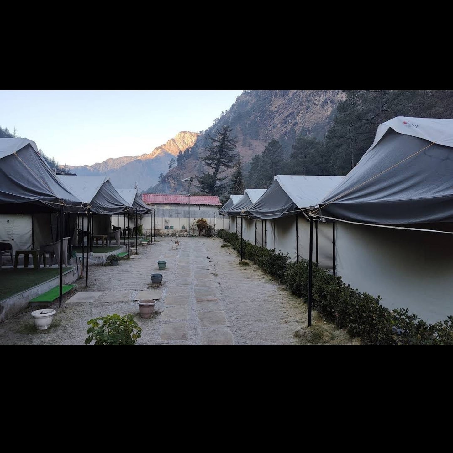North Deodar Camps_Kasol