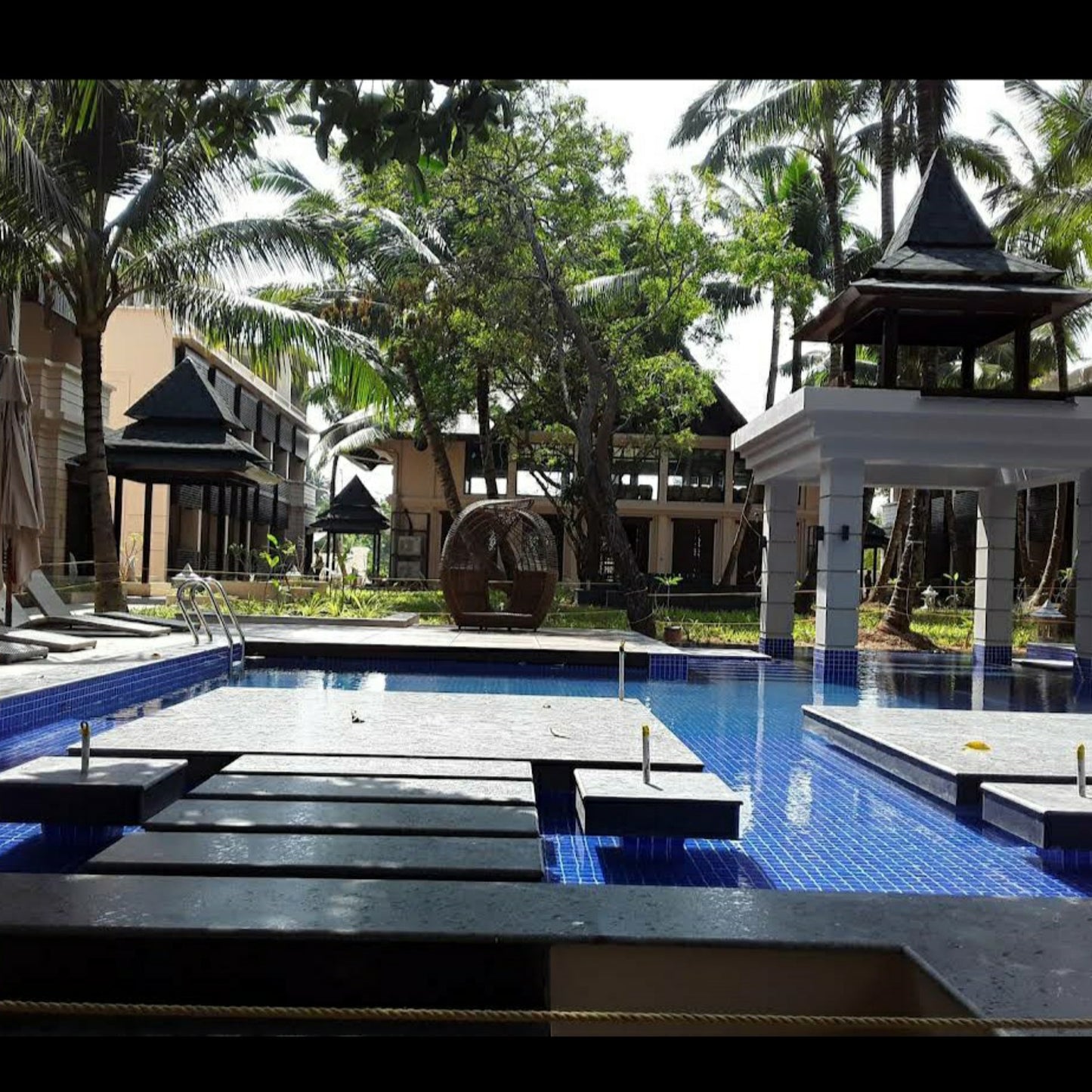 SeaShell, Neil_Andaman _ Nicobar